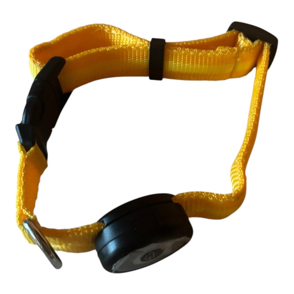 Elive Yellow LED Dog Collar 3/4" width Adjustable M 15" - 20"